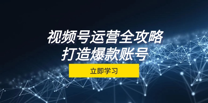（12912期）视频号运营全攻略，从定位到成交一站式学习，视频号核心秘诀，打造爆款…-墨韵博客