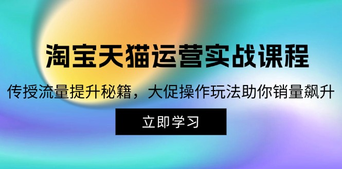 （12959期）淘宝&天猫运营实战课程，传授流量提升秘籍，大促操作玩法助你销量飙升-墨韵博客