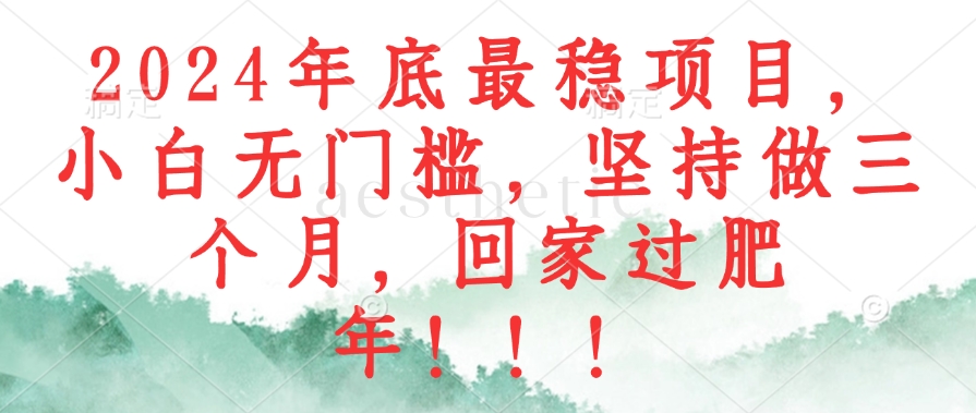 （12970期）2024年底最稳项目，小白无门槛，坚持做三个月，回家过肥年！！！-墨韵博客
