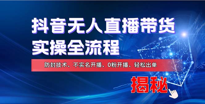 （13001期）在线赚钱新途径：如何用抖音无人直播实现财务自由，全套实操流程，含…-墨韵博客