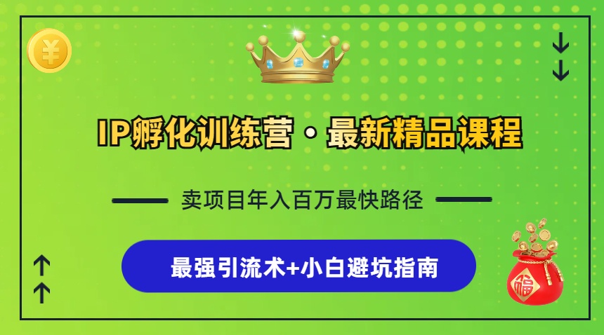 （13055期）IP孵化训练营，知识付费全流程+最强引流术+小白避坑指南-墨韵博客