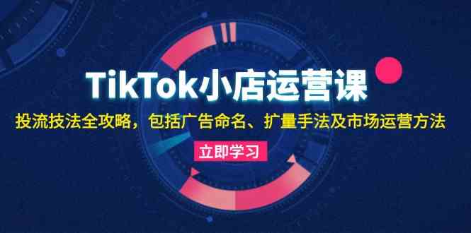 TikTok小店运营课：投流技法全攻略，包括广告命名 扩量手法及市场运营方法-墨韵博客