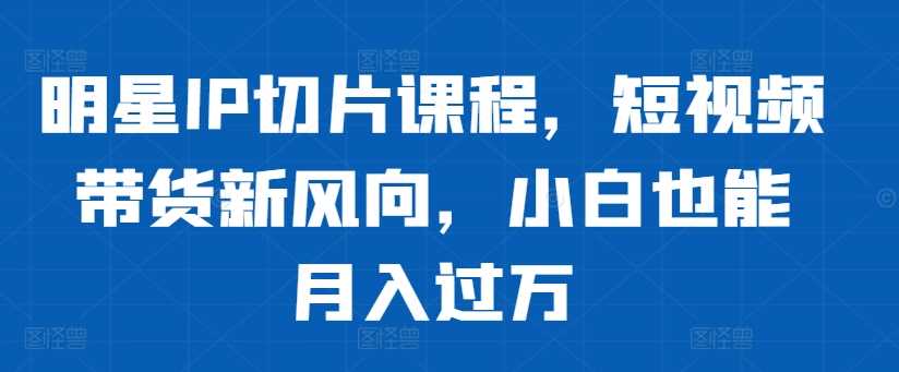 明星IP切片课程，短视频带货新风向，小白也能月入过万-墨韵博客