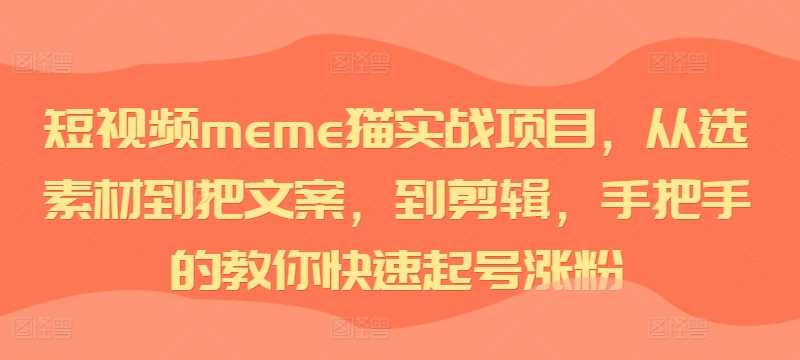短视频meme猫实战项目，从选素材到把文案，到剪辑，手把手的教你快速起号涨粉-墨韵博客
