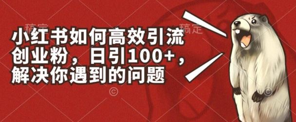 小红书如何高效引流创业粉，日引100+，解决你遇到的问题【揭秘】-墨韵博客