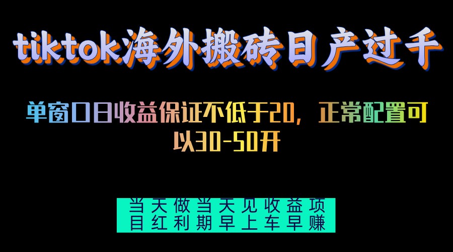 （13079期）tiktok海外搬砖项目单机日产过千当天做当天见收益-墨韵博客