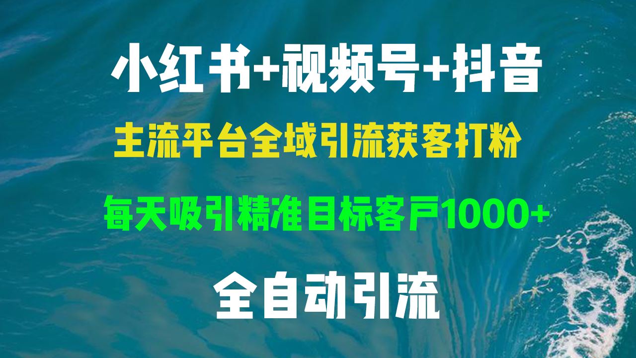 （13104期）小红书，视频号，抖音主流平台全域引流获客打粉，每天吸引精准目标客户…-墨韵博客