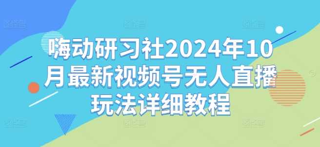 嗨动研习社2024年10月最新视频号无人直播玩法详细教程-墨韵博客