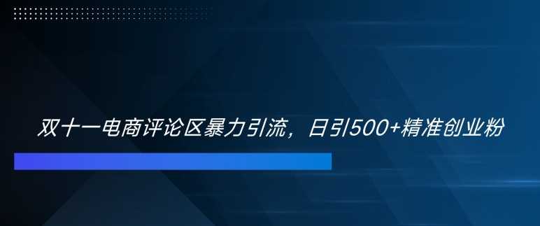 双十一电商评论区暴力引流，日引500+精准创业粉【揭秘】-墨韵博客