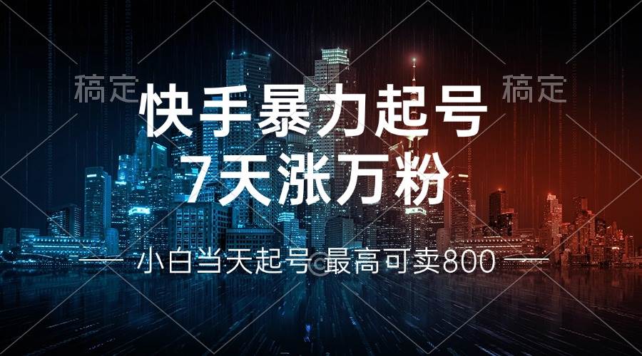 （13142期）快手暴力起号，7天涨万粉，小白当天起号 多种变现方式，账号回收，单月…-墨韵博客
