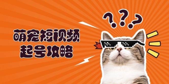 萌宠短视频起号攻略：定位搭建推流全解析，助力新手轻松打造爆款-墨韵博客