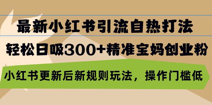（13145期）最新小红书引流自热打法，轻松日吸300+精准宝妈创业粉，小红书更新后新…-墨韵博客