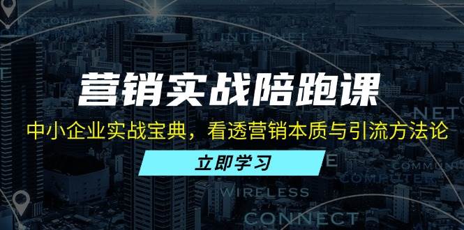 （13146期）营销实战陪跑课：中小企业实战宝典，看透营销本质与引流方法论-墨韵博客