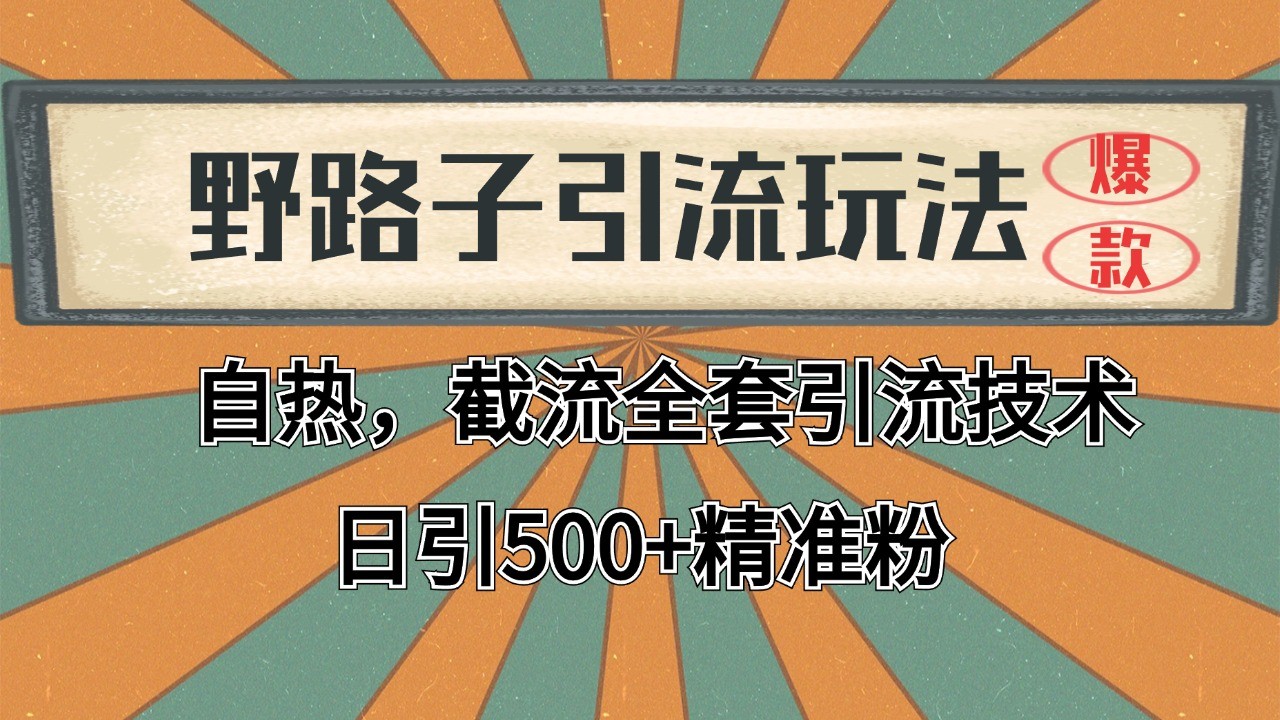 抖音小红书视频号全平台引流打法，全自动引流日引2000+精准客户-墨韵博客