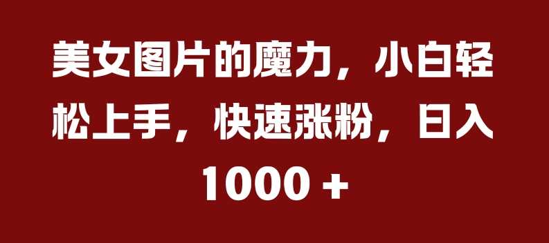 美女图片的魔力，小白轻松上手，快速涨粉，日入几张【揭秘】-墨韵博客