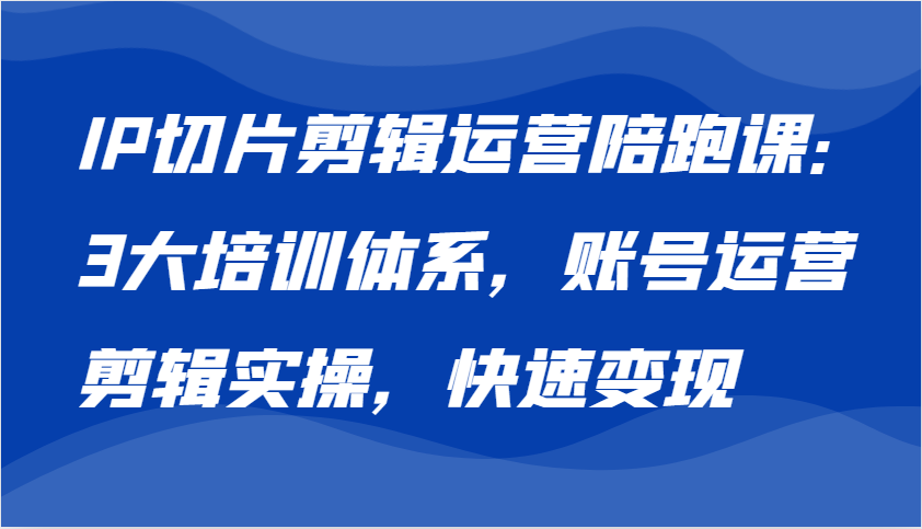 IP切片剪辑运营陪跑课，3大培训体系：账号运营 剪辑实操 快速变现-墨韵博客