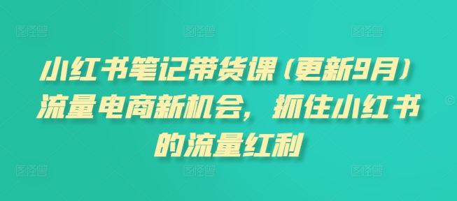 小红书笔记带货课(更新10月)流量电商新机会，抓住小红书的流量红利-墨韵博客