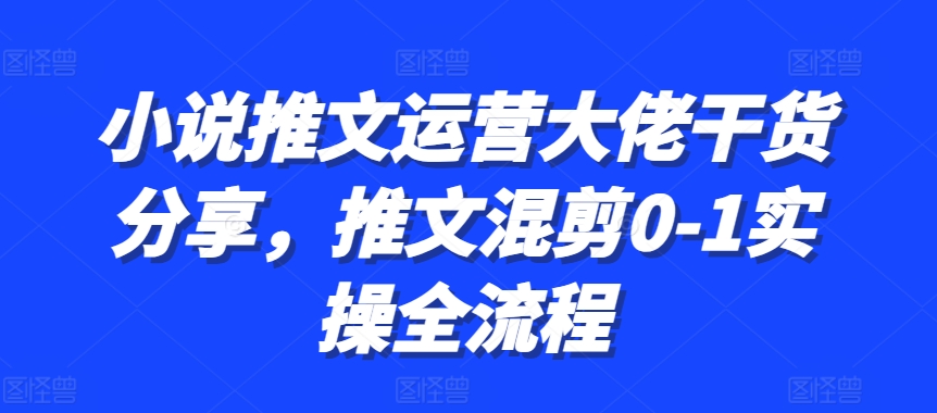 小说推文运营大佬干货分享，推文混剪0-1实操全流程-墨韵博客