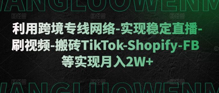 利用跨境专线网络-实现稳定直播-刷视频-搬砖TikTok-Shopify-FB等实现月入2W+【揭秘】-墨韵博客