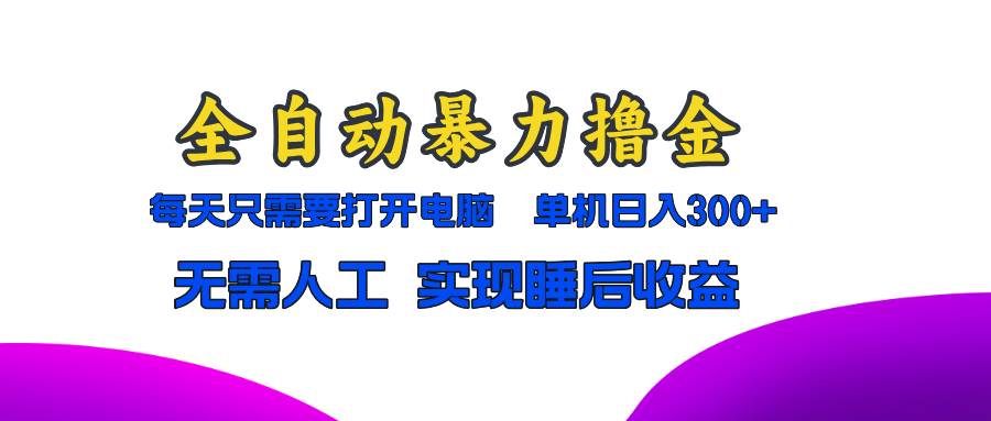 （13186期）全自动暴力撸金，只需要打开电脑，单机日入300+无需人工，实现睡后收益-墨韵博客