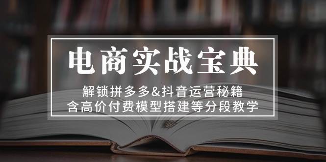 （13195期）电商实战宝典 解锁拼多多&抖音运营秘籍 含高价付费模型搭建等分段教学-墨韵博客