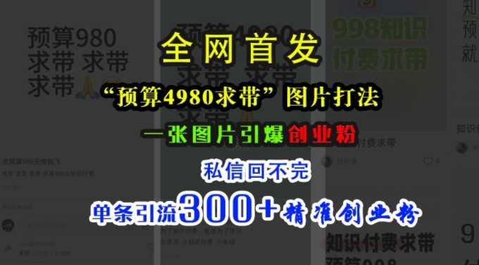 小红书“预算4980带我飞”图片打法，一张图片引爆创业粉，私信回不完，单条引流300+精准创业粉-墨韵博客