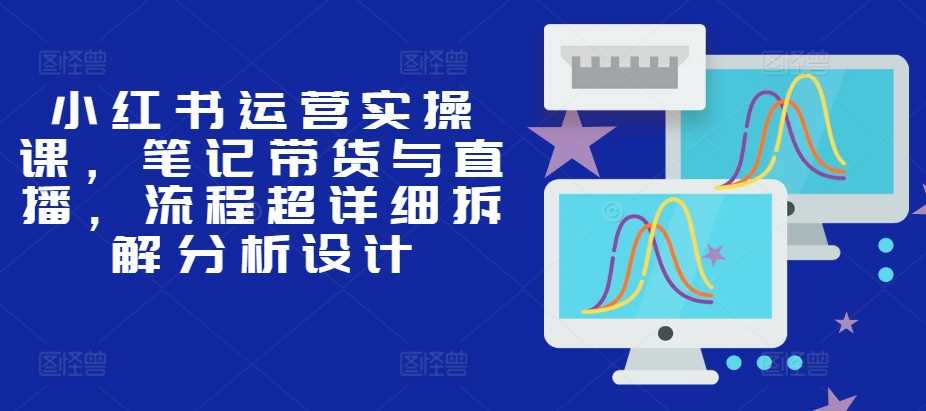 小红书运营实操课，笔记带货与直播，流程超详细拆解分析设计-墨韵博客