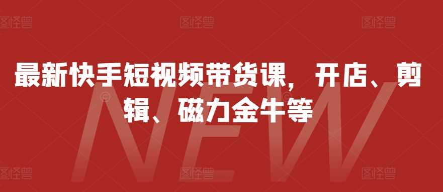 最新快手短视频带货课，开店、剪辑、磁力金牛等-墨韵博客