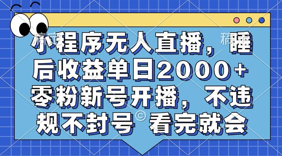 （13251期）小程序无人直播，睡后收益单日2000+ 零粉新号开播，不违规不封号 看完就会-墨韵博客