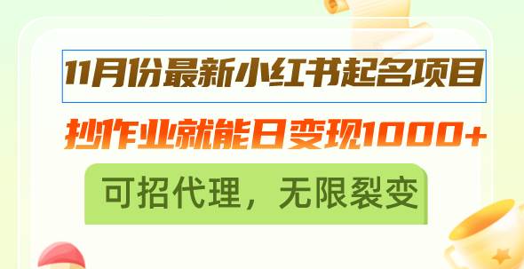 （13256期）11月份最新小红书起名项目，抄作业就能日变现1000+，可招代理，无限裂变-墨韵博客