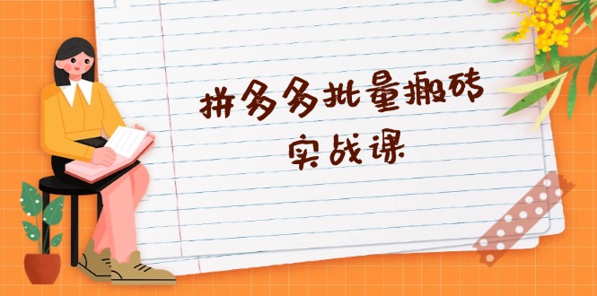 （13265期）拼多多批量搬砖实战课，全自动剪辑发布，黑科技新技术与爆款选品策略-墨韵博客