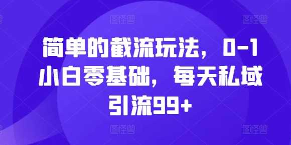 简单的截流玩法，0-1小白零基础，每天私域引流99+【揭秘】-墨韵博客