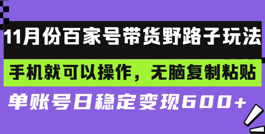 （13281期）百家号带货野路子玩法 手机就可以操作，无脑复制粘贴 单账号日稳定变现…-墨韵博客