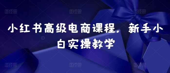 小红书高级电商课程，新手小白实操教学-墨韵博客