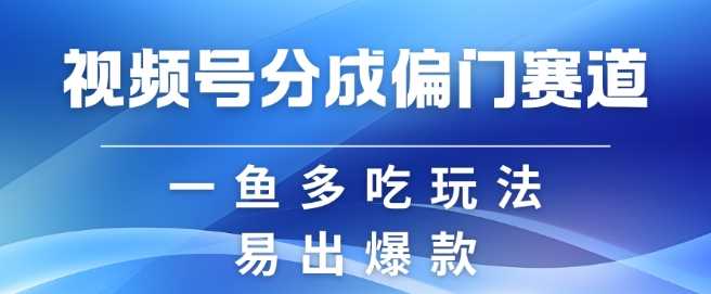 视频号创作者分成计划偏门类目，容易爆流，实拍内容简单易做【揭秘】-墨韵博客