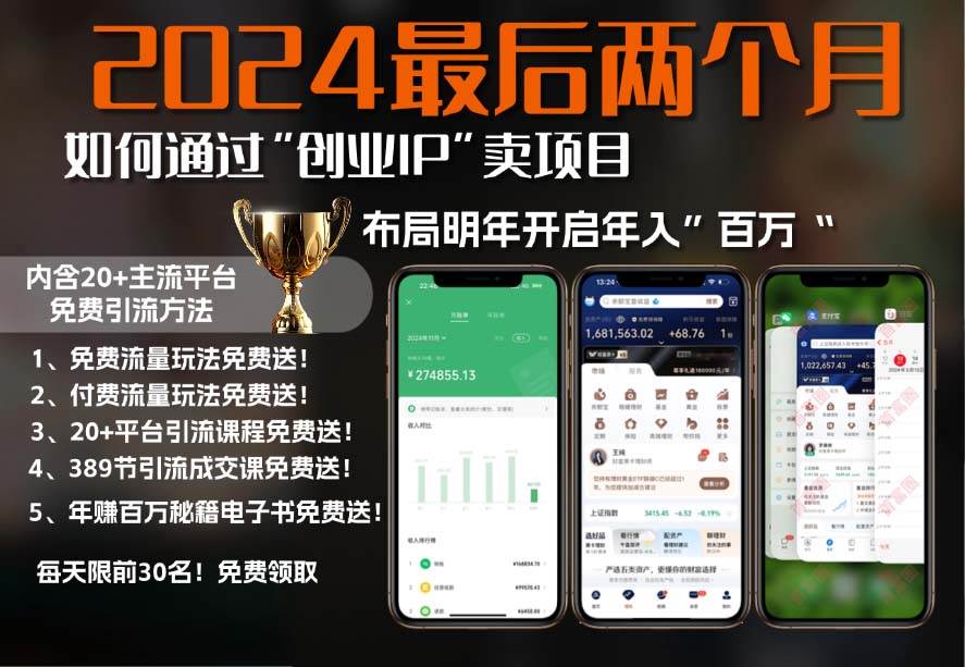 （13322期）2024最后两个月如何通过”创业IP“卖项目年入”百万“,创业IP+最强引流…-墨韵博客