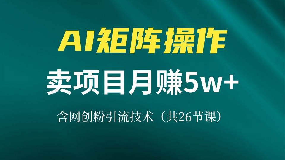 （13335期）网创IP打造课，借助AI卖项目月赚5万+，含引流技术（共26节课）-墨韵博客