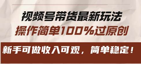 （13337期）视频号带货最新玩法，操作简单100%过原创，新手可做收入可观，简单稳定！-墨韵博客