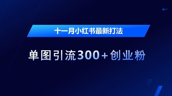十一月小红书最新打法，单图引流300+创业粉【揭秘】-墨韵博客