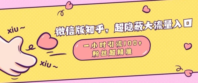 微信版知乎，超隐蔽流量入口1小时引流100人，粉丝质量超高【揭秘】-墨韵博客