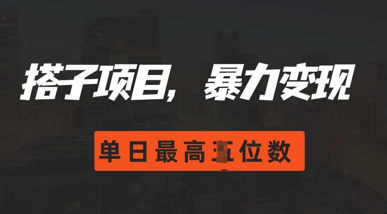 2024搭子玩法，0门槛，暴力变现，单日最高破四位数【揭秘】-墨韵博客