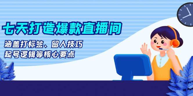 （13382期）七天打造爆款直播间：涵盖打标签、留人技巧、起号逻辑等核心要点-墨韵博客