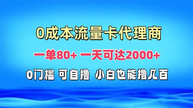 （13391期）免费流量卡代理一单80+ 一天可达2000+-墨韵博客