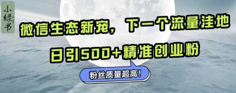 微信生态新宠小绿书：下一个流量洼地，日引500+精准创业粉，粉丝质量超高-墨韵博客