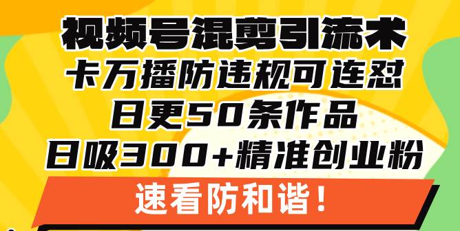 （13400期）视频号混剪引流技术，500万播放引流17000创业粉，操作简单当天学会-墨韵博客