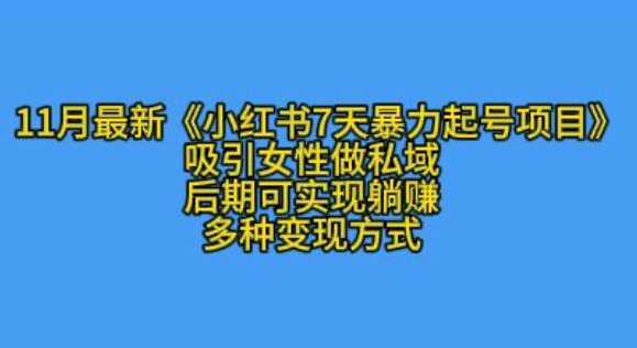 K总部落11月最新小红书7天暴力起号项目，吸引女性做私域【揭秘】-墨韵博客