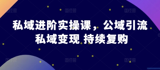 私域进阶实操课，公域引流 私域变现 持续复购-墨韵博客