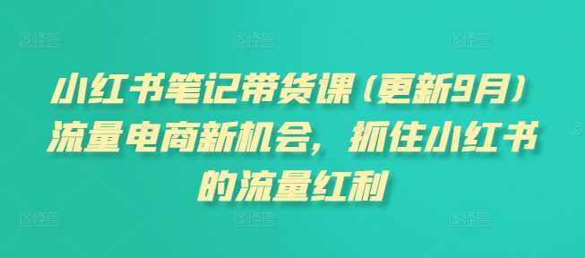 小红书笔记带货课(更新11月)流量电商新机会，抓住小红书的流量红利-墨韵博客