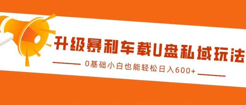 升级暴利车载U盘私域玩法，0基础小白也能轻松日入多张【揭秘】-墨韵博客