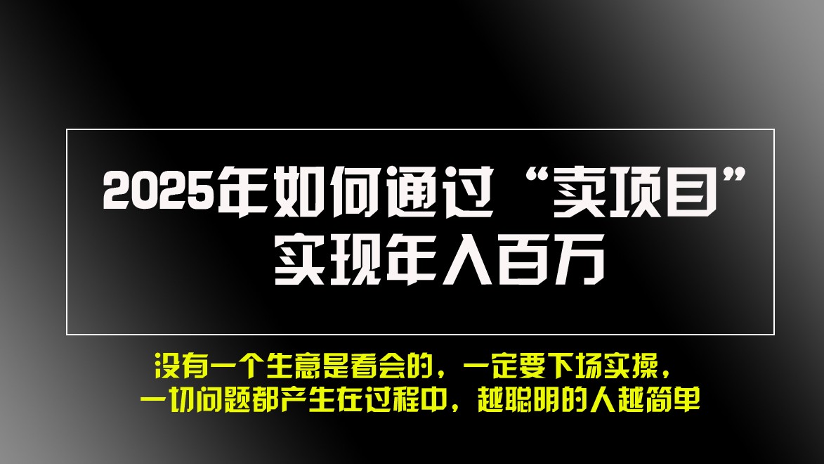 2025年如何通过“卖项目”实现年入百万-墨韵博客